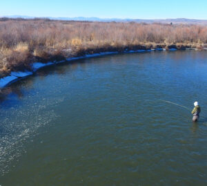 Bozeman, Guide, Yellowstone, Fly Fishing, Montana, Madison, River, Guide Service, outfitter